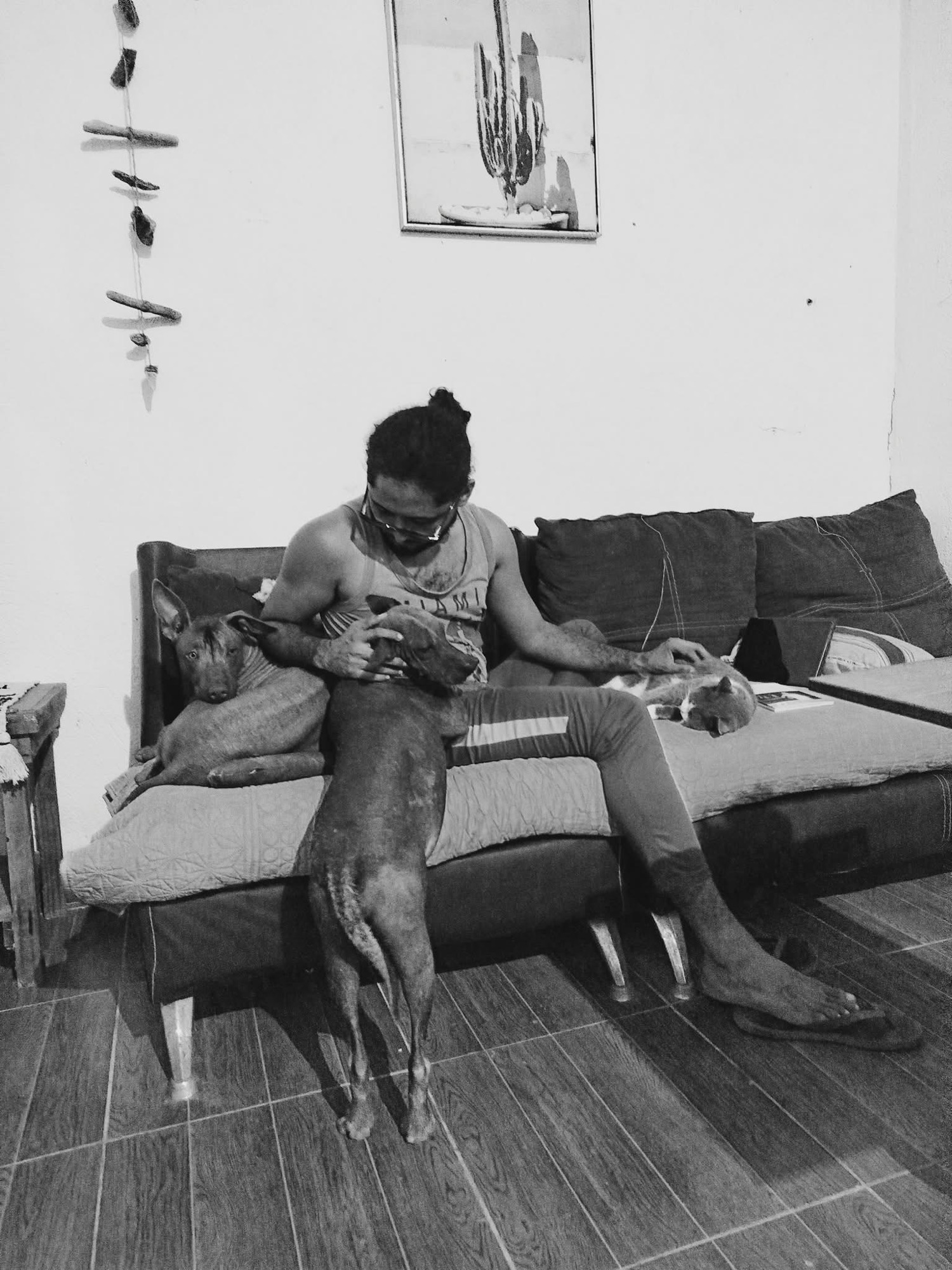 Gana Abisaí Benítez Galeana por primer lugar en concurso internacional de poesía