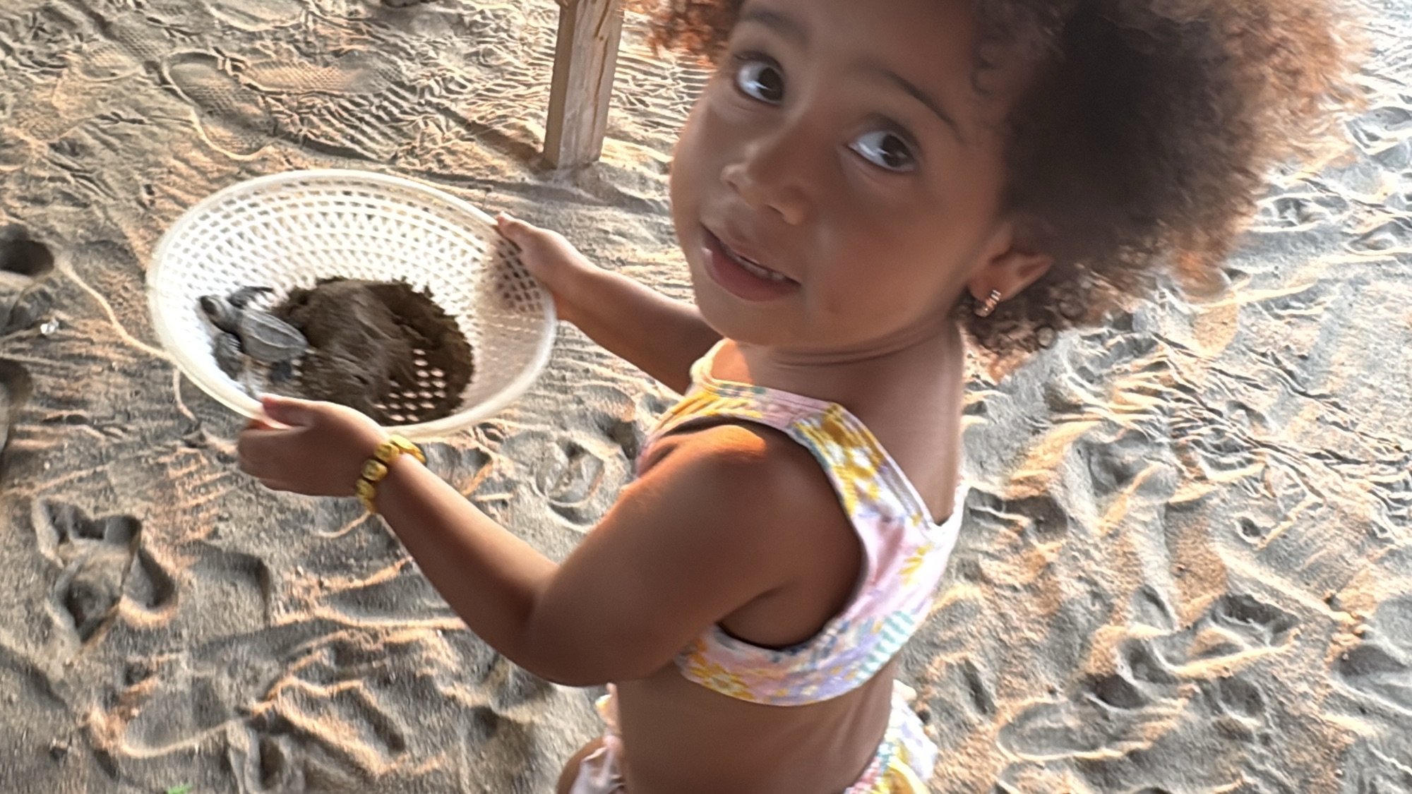 El día que Nina liberó una tortuga en Tecoanapa