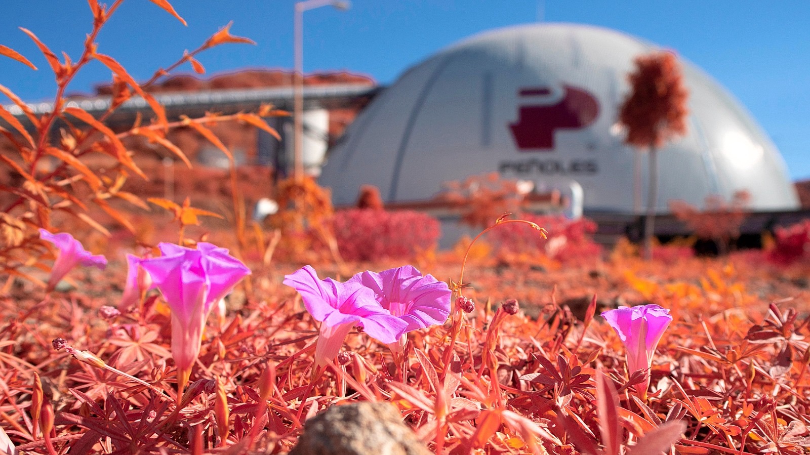 Peñoles opera con estándares de ética, trazabilidad y sustentabilidad