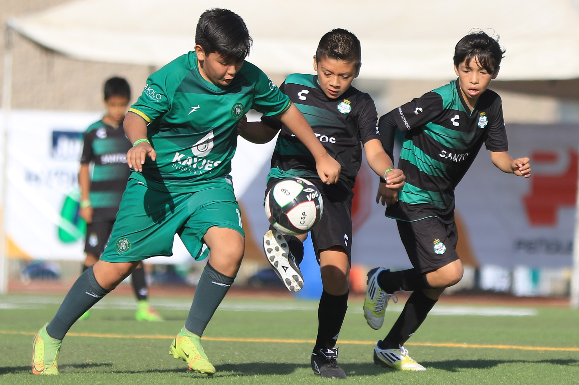 Peñoles participa con 31 equipos y 549 jugadores en la Copa Santos 2026